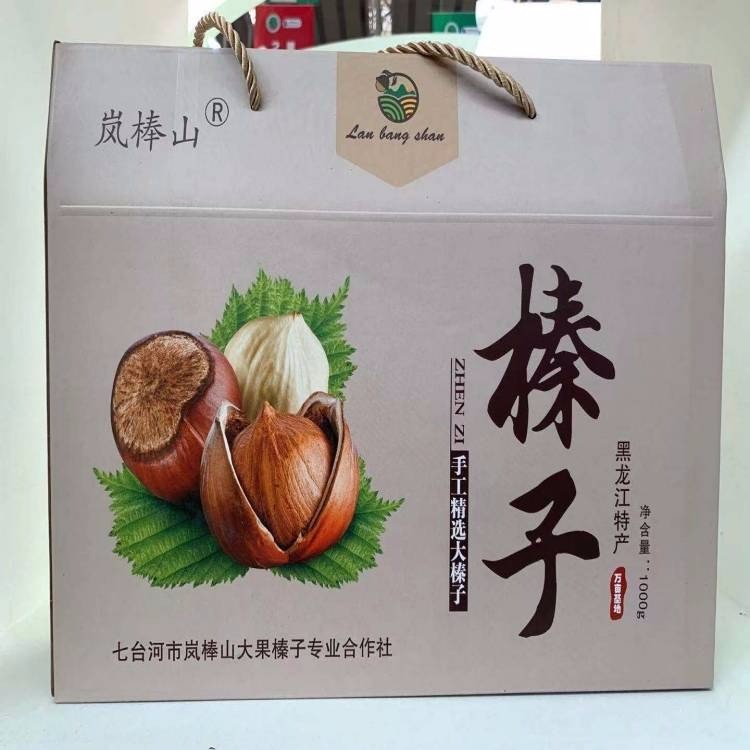 大果榛子