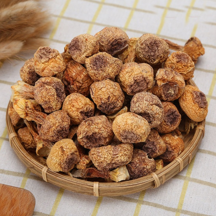 龙江恒沣姬松茸