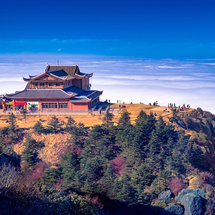 四川九寨沟双飞8日游