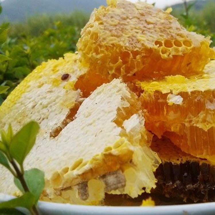 野蜂蜜 500g
