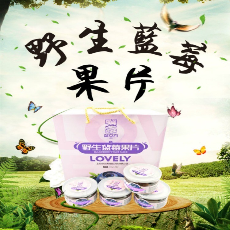 野生蓝莓果片