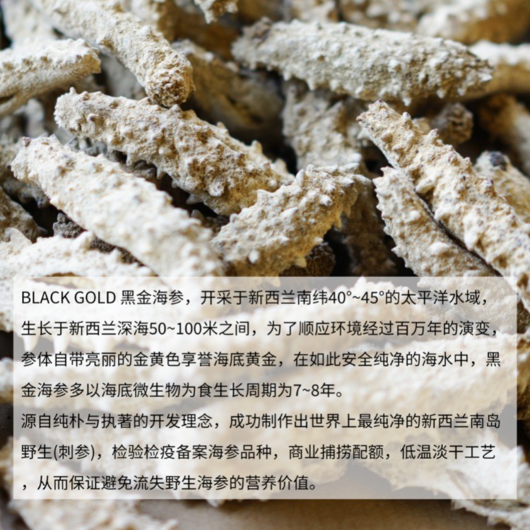 新西兰黑金淡干野生刺参 250g