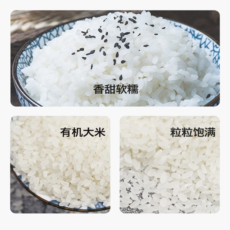 军稻香黑龙江有机大米