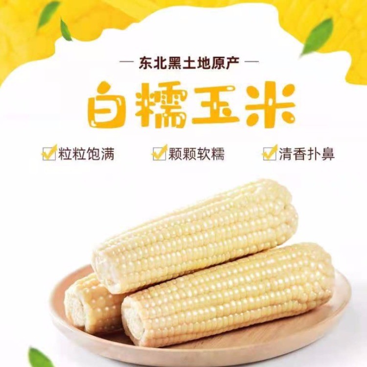 鲜食玉米