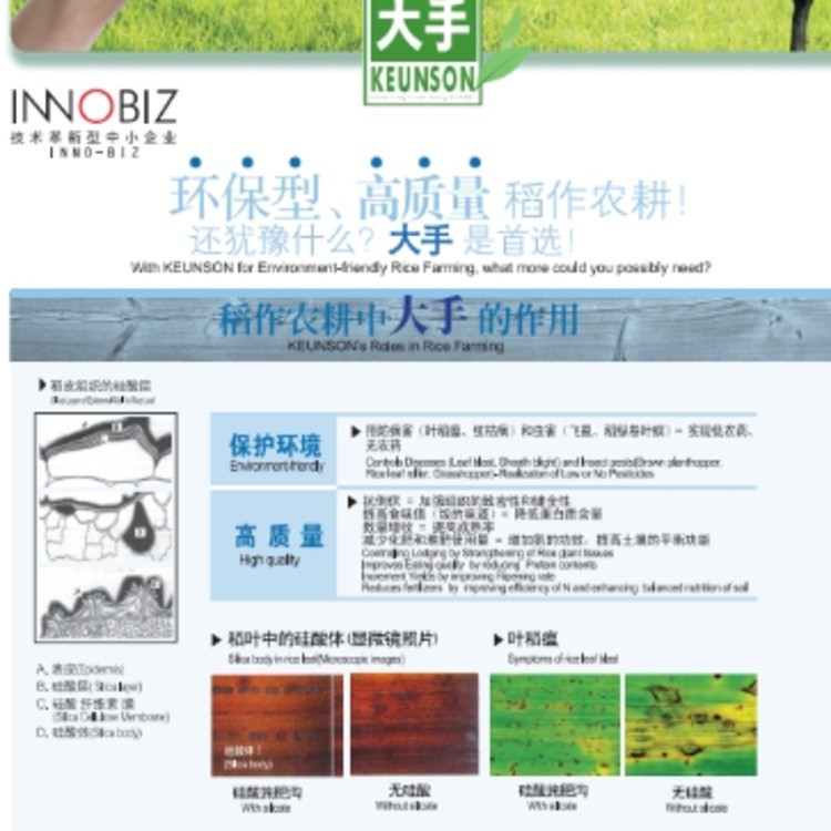 镀膜 (硅盐酸种子镀膜肥料)