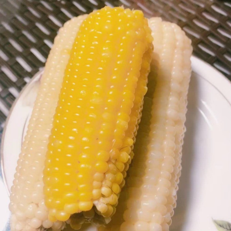 佳南大地粘玉米