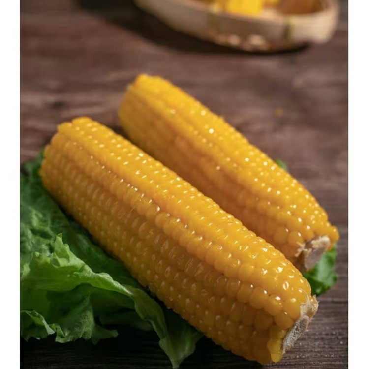 甜糯鲜食玉米