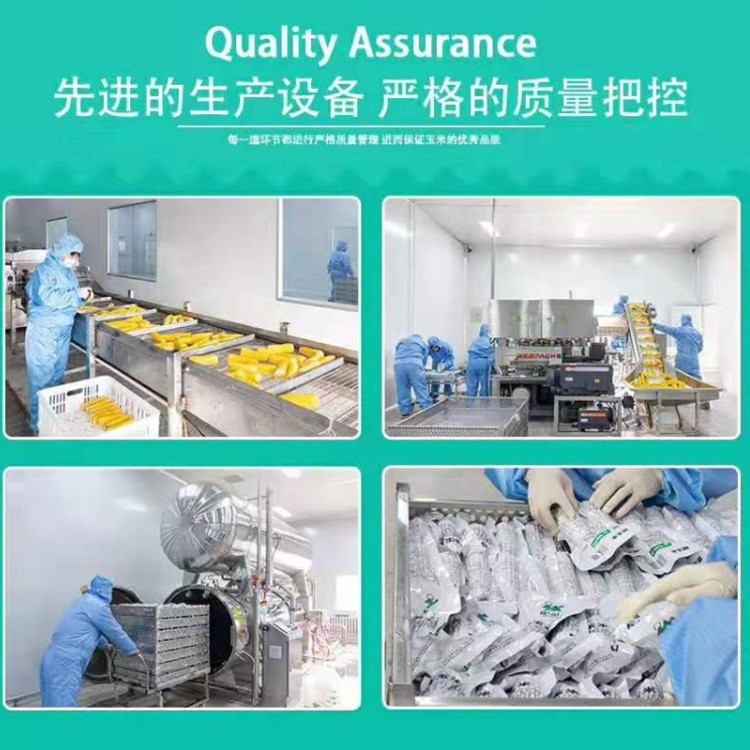 绿牧山牌有机糯玉米