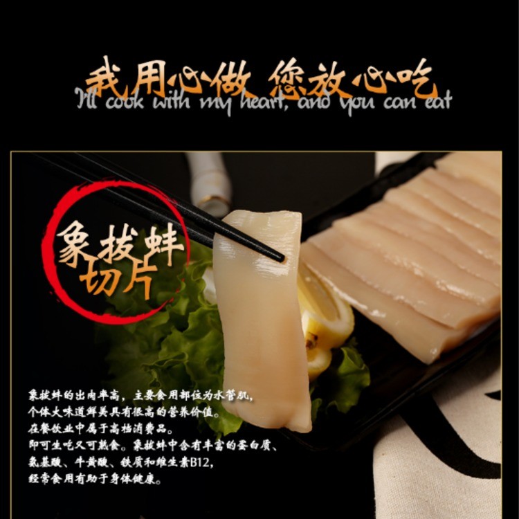 象拔蚌切片
