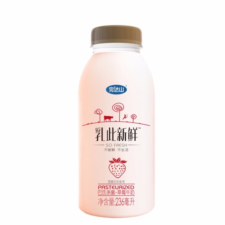 瓶装乳此新鲜草莓牛奶236ml