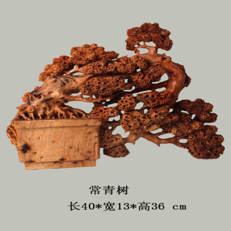 常青树