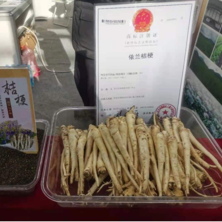 桔梗