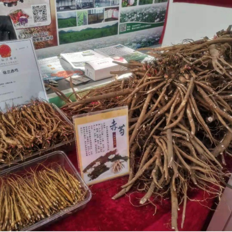 赤芍