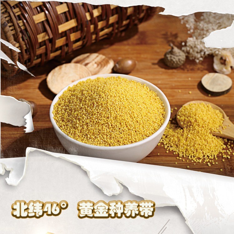 十八里香小米
