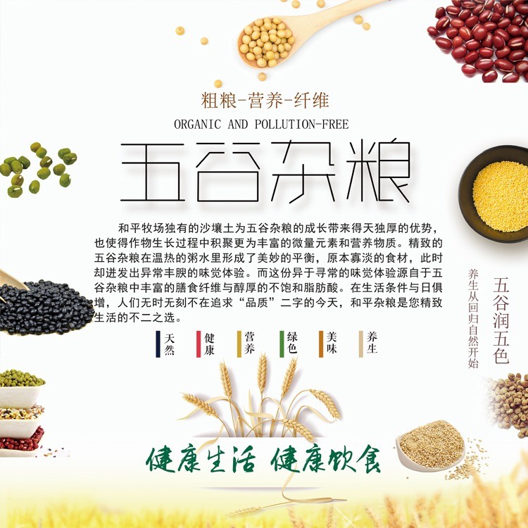 十八里香杂粮