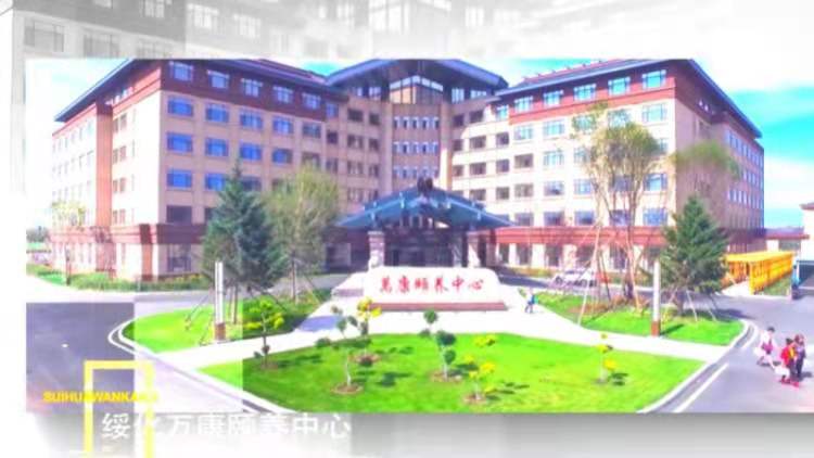 Suihua Wankang Medical Care Industrial Park