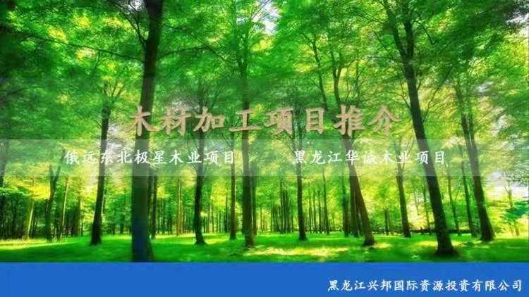 Heilongjiang Xingbang International Resources Investment Co., Ltd.