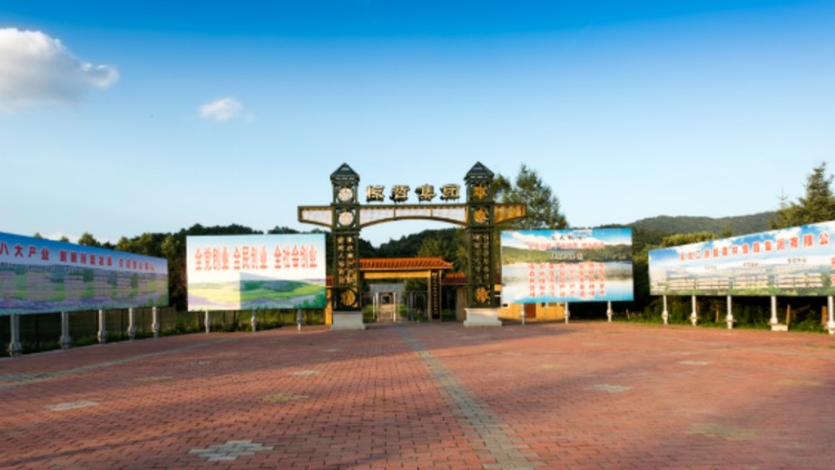 Heilongjiang Jingzhe Forest Agricultural Science and Technology Development Co. Ltd