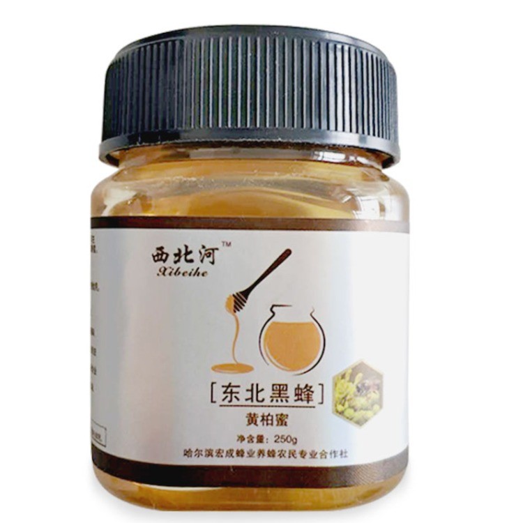 西北河东北黑蜂黄柏蜜