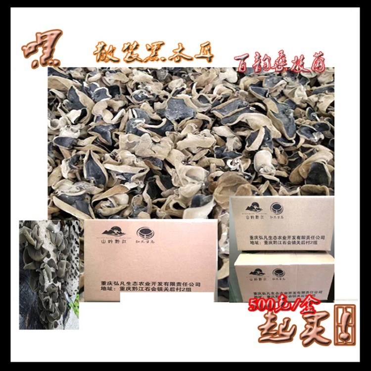 桑枝木耳