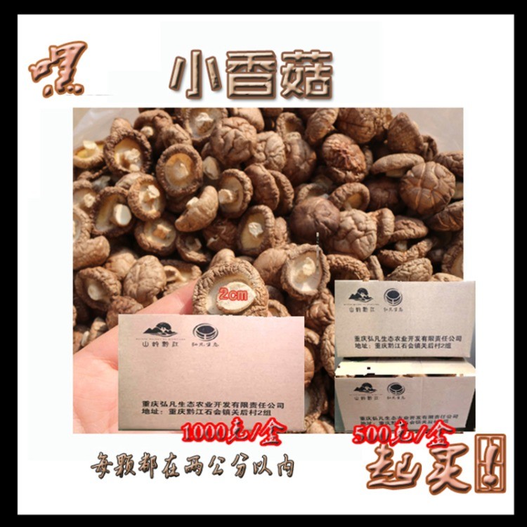 小香菇