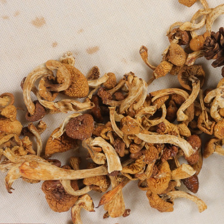 樟子松四色山珍礼盒