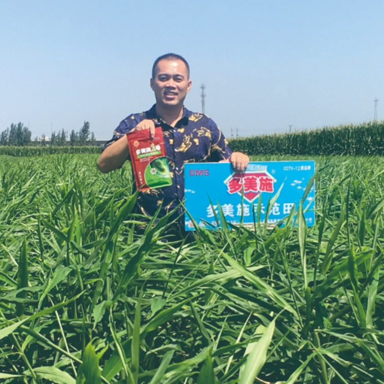 多美施一号生防菌