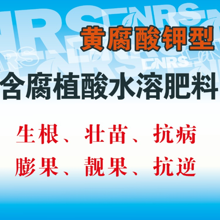 黄腐酸钾水溶肥