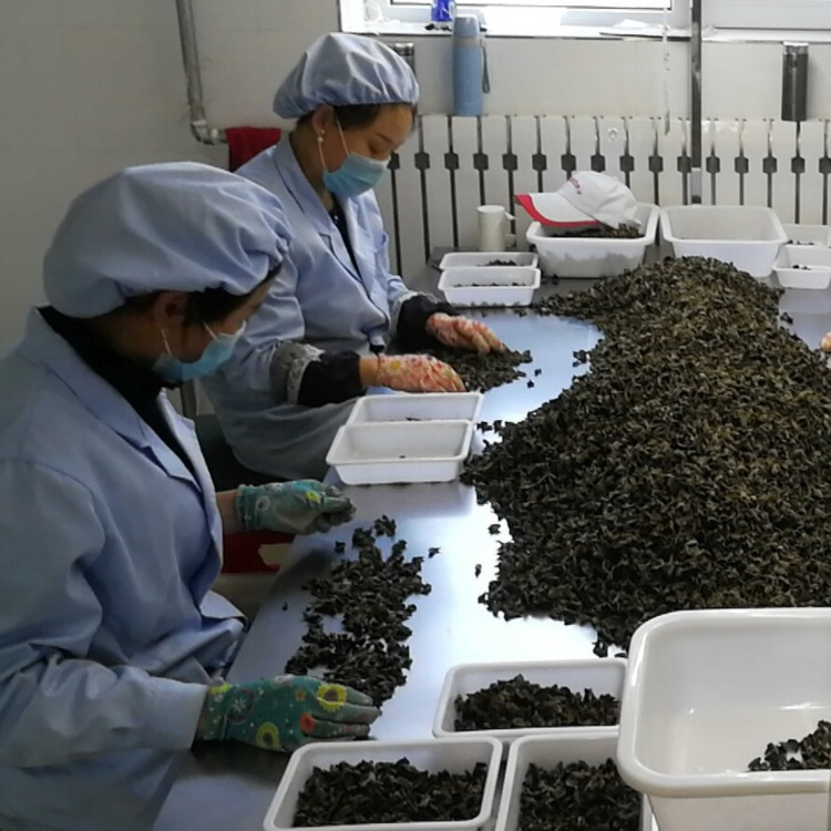 黑木耳一等礼盒