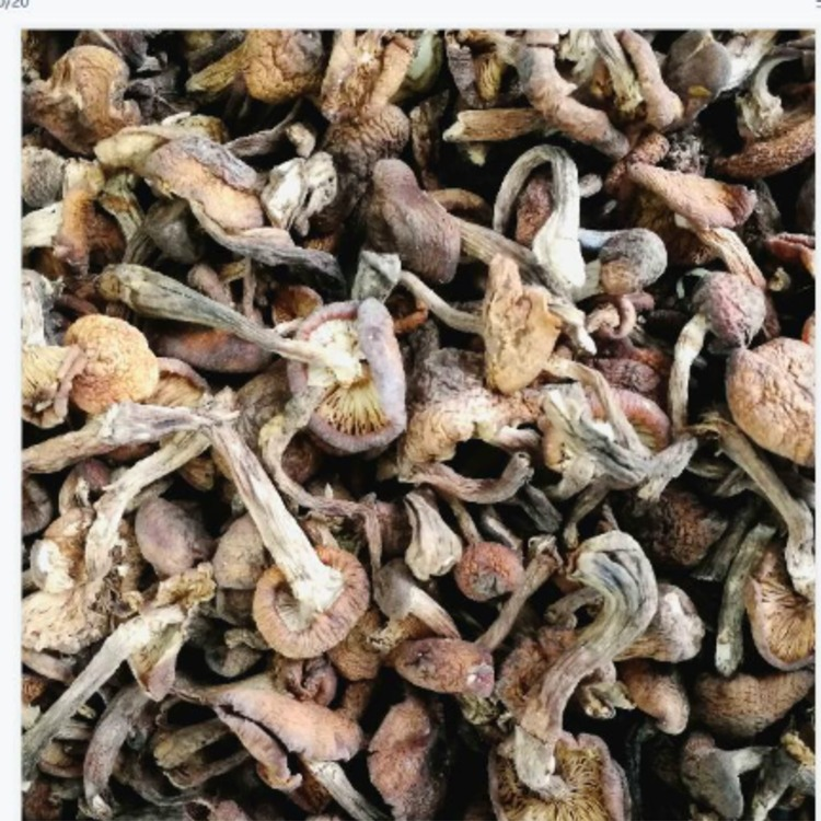 榛蘑牛皮纸袋