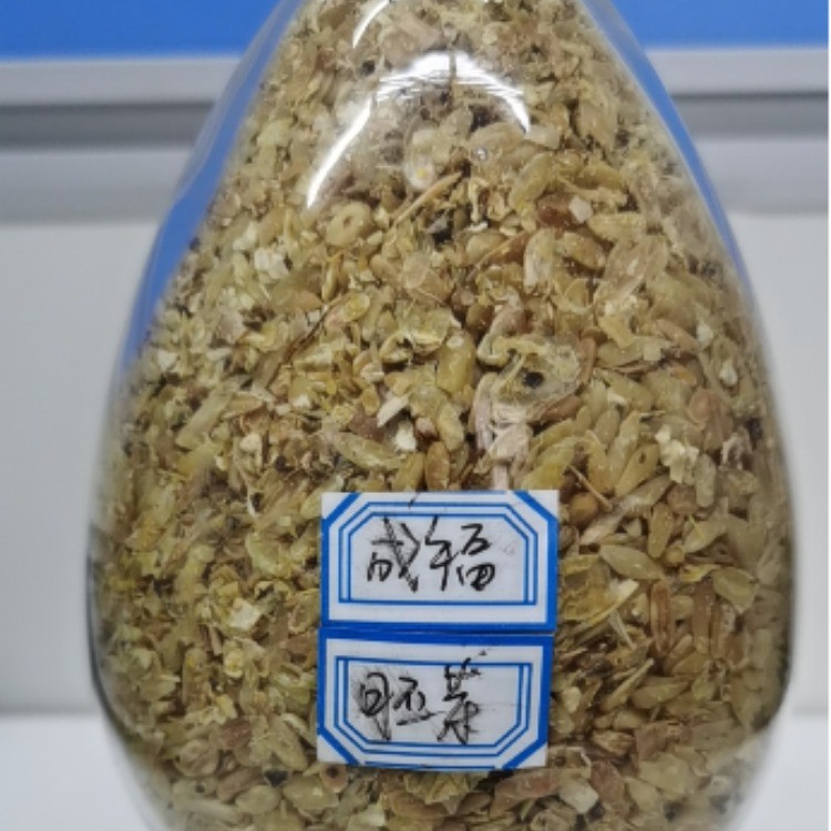 胚芽