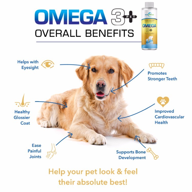 Omega-3精华萌宠营养液