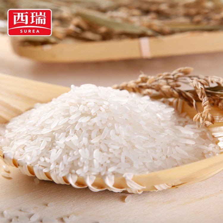 西瑞东北稻花香米
