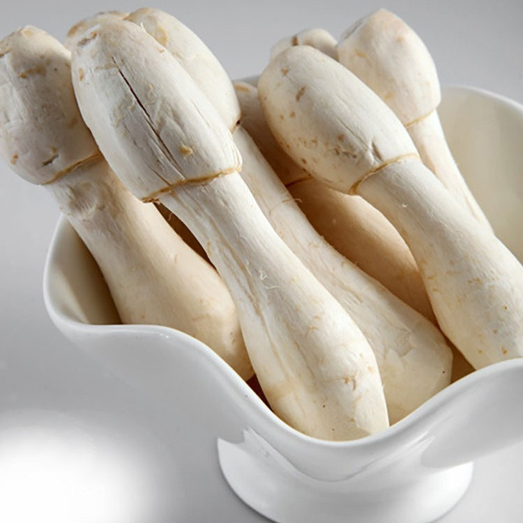 野生菌—鸡腿蘑