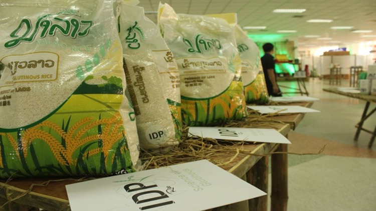 Indochina Development Partners Lao Sole Co., Ltd