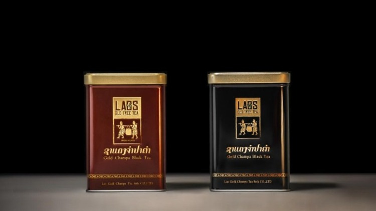 绿茶