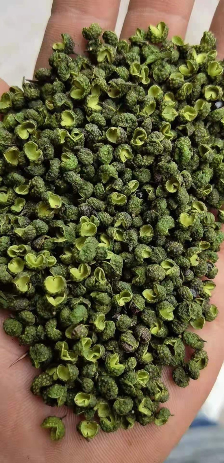 麻椒