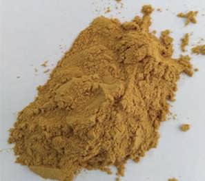 LABEESITY标准化提取物LABISIA PUMILA）