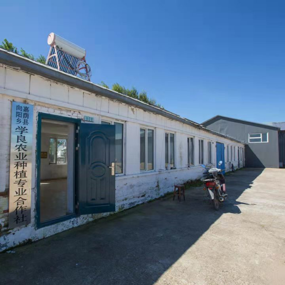 企业宣传