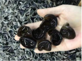 食用菌