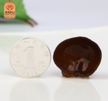 东北特级黑木耳秋木耳小碗耳长白山椴木干货500g