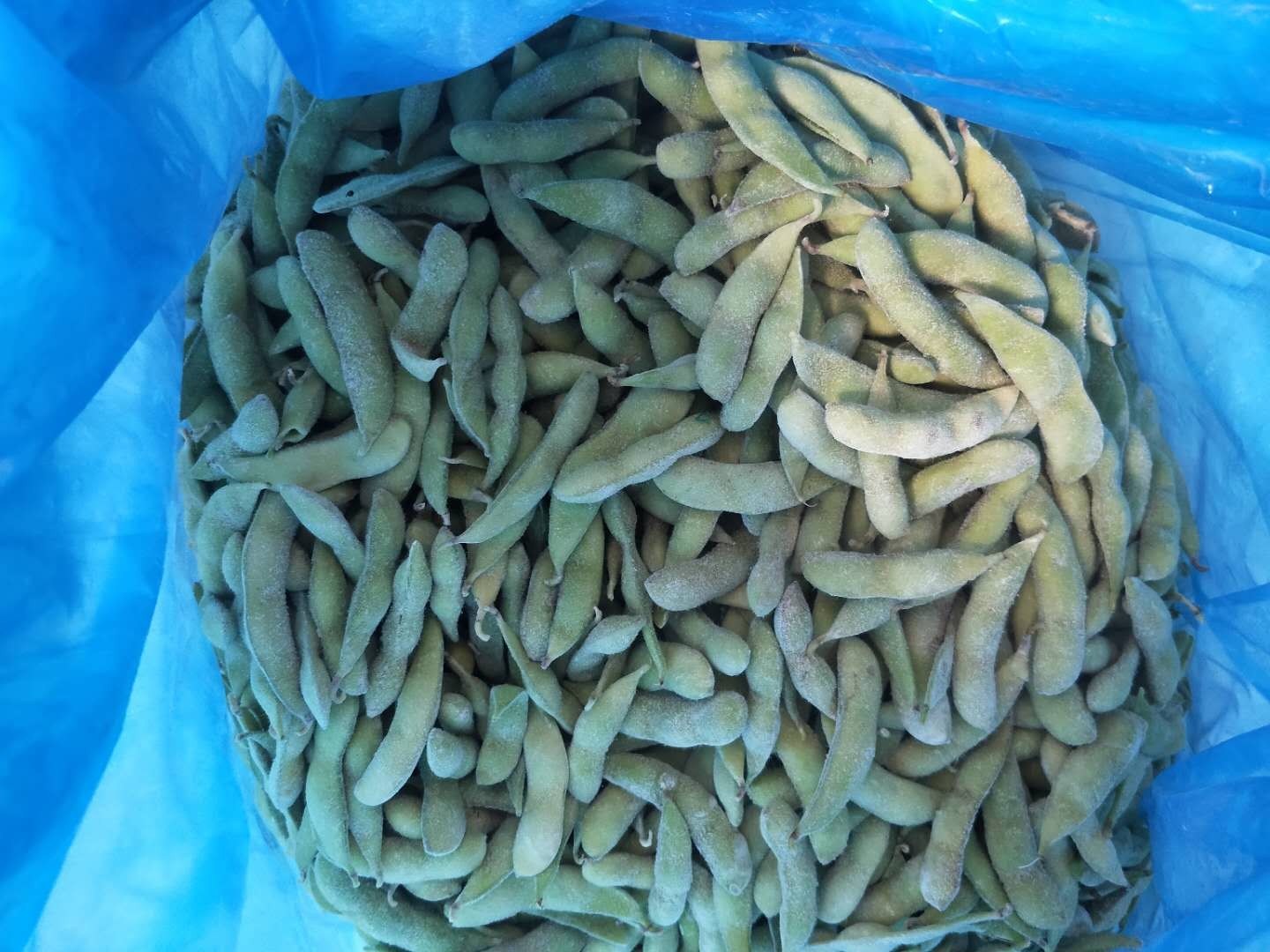 冷冻毛豆